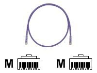 Panduit TX5e patch cable - 3 ft - violet