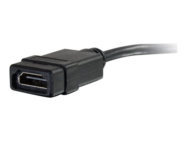 C2G Mini HDMI to HDMI Adapter Converter - M/F