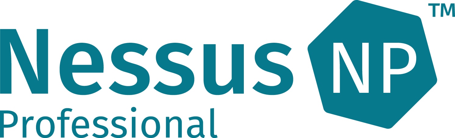 Nessus Professional - subscription license (1 day) - 1 scanner