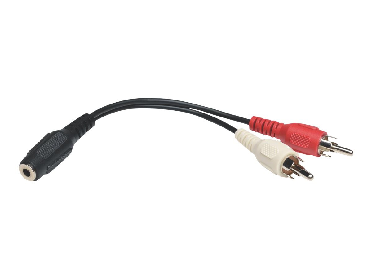 Tripp Lite 6IN 3.5mm Mini Stereo to Two RCA Audio Y Splitter Adapter Cable  - P316-06N - Audio & Video Cables - CDW.ca