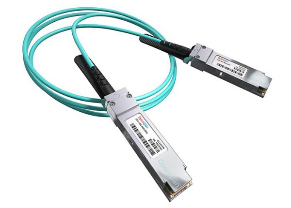 Brocade network cable - 33 ft