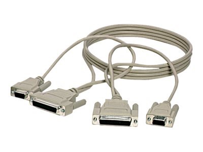 Black Box PC Data-Transfer Cable - serial RS-232 cable - 10 ft