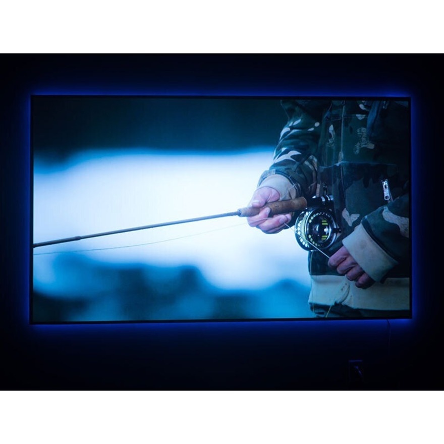 Draper Profile+ 123" Projection Screen