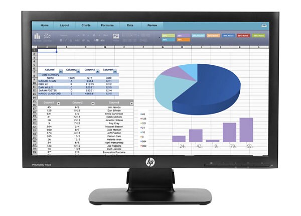 HP ProDisplay P202 - Head Only - LED monitor - 20"