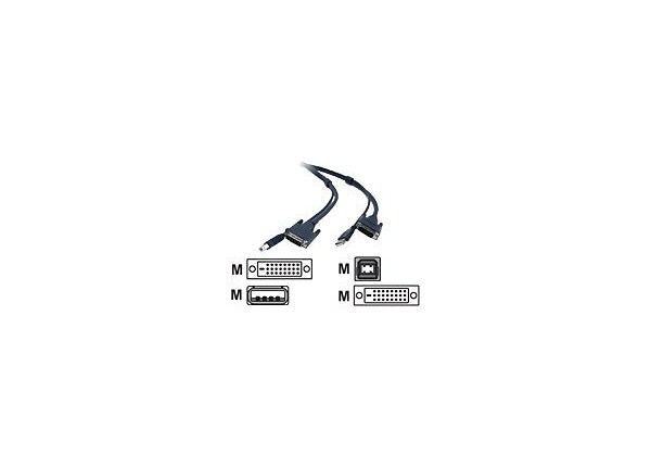 Adder USB / DVI cable - 6 ft