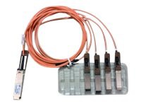 Cisco Direct-Attach Breakout Cable - network cable - 10 ft - orange
