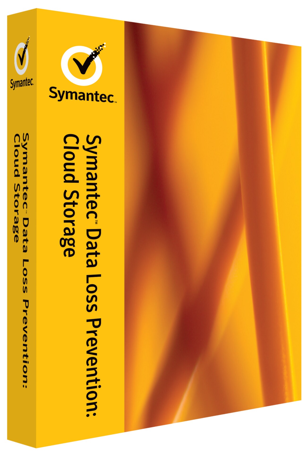 Symantec Data Loss Prevention Cloud Storage (v. 14.0) - subscription license (1 year) + 1 Year Essential Support