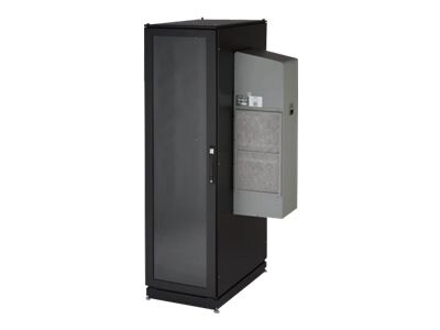 Black Box ClimateCab NEMA 12 Server Cabinet with M6 Rails - system cabinet - 42U