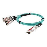 Proline 10GBase-AOC direct attach cable - TAA Compliant - 10 m