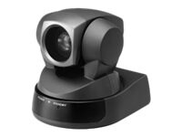 Sony EVI-D100 - surveillance camera