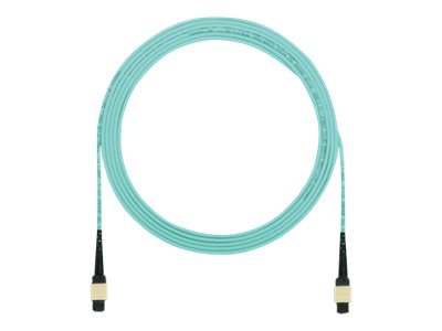 Panduit network cable - 5 m - aqua