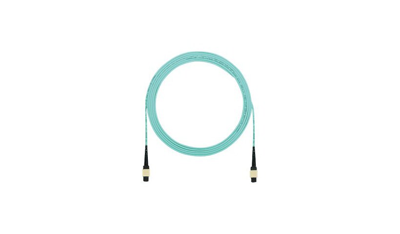 Panduit network cable - 5 m - aqua