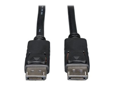 Tripp Lite 100ft DisplayPort Cable with Latches Video / Audio DP 4K x 2K M/M 100' - DisplayPort cable - 30.48 m