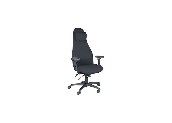 Anthro Deluxe Chair - chair