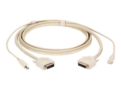 Black Box ServSwitch - USB / DVI cable - 10 ft
