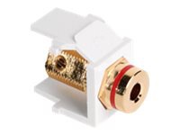 Leviton QuickPort modular insert