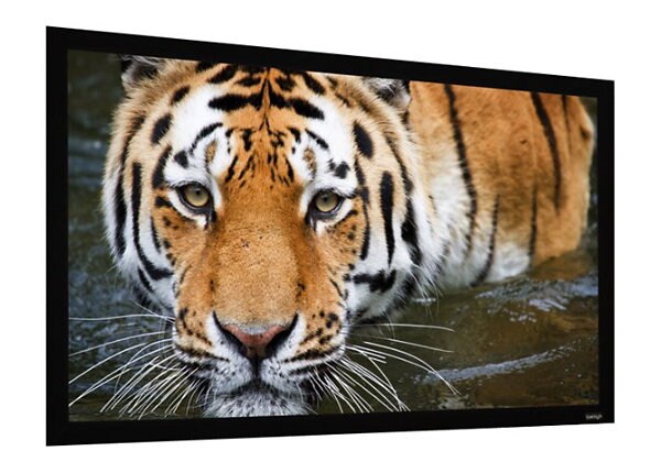EluneVision Reference PureBright 4K projection screen - 100 in (254 cm)