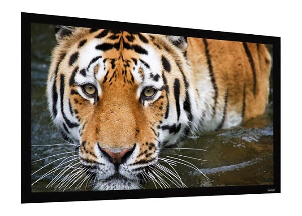 EluneVision Reference PureBright 4K Fixed-Frame High Definition Format - projection screen - 92 in (234 cm)