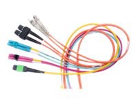 Belden FiberExpress FX - patch cable - 3 m - aqua