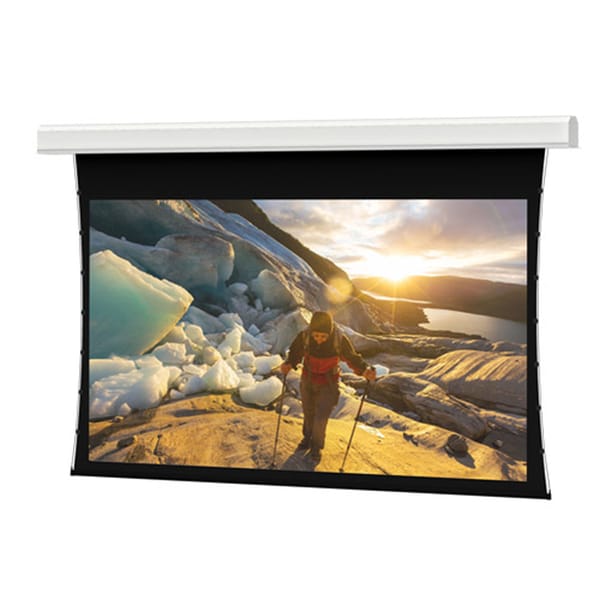 Da-Lite Tensioned Advantage Series Projection Screen - Ceiling-Recessed with Plenum-Rated Case and Trim - 208in Screen