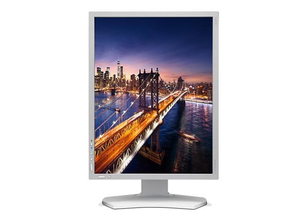 NEC MultiSync P212 - LED monitor - 21.3"