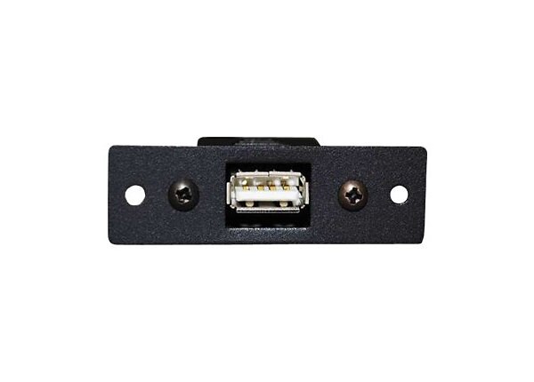 C2G Wiremold Audio/Video Interface Plates (AVIP) USB A Female to USB A Female Adapter - faceplate