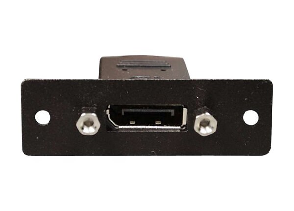 C2G Wiremold Audio/Video Interface Plates (AVIP) DisplayPort Female to One DisplayPort Female Pigtail - faceplate