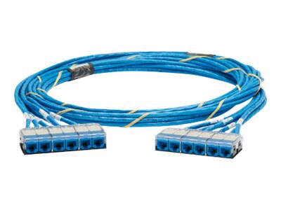 Panduit QuickNet Cable Assembly - network cable - 100 ft - blue