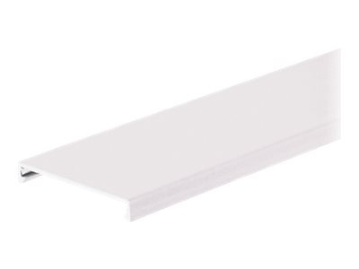Panduit PANDUCT Type C Wiring Duct Cover - cable raceway cover