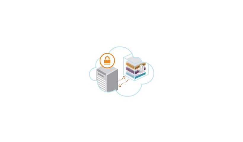 Thales SafeNet ETOKEN MNT SVC