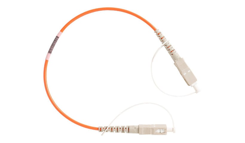 Fluke Networks Multimode 62.5µm Test Reference Cord (SC/SC) - testing device cable - 1 ft