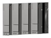 Promise - hard drive - 6 TB - SAS (pack of 4)