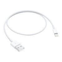 Apple Lightning cable - Lightning / USB 2.0 - 1.6 ft