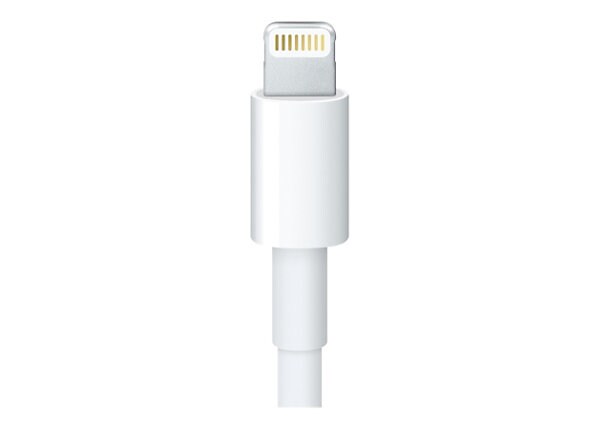 Apple Lightning to 30-pin Adapter - Lightning adapter - Lightning - 7.9 in