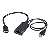 Avocent Module d'interface serveur - câble de rallonge vidéo / USB