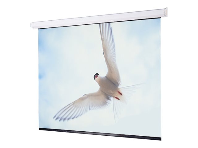 Draper Targa 113" Projection Screen