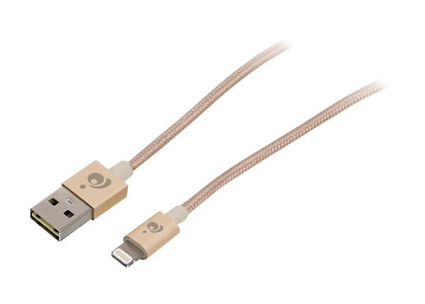 IOGEAR Charge & Sync Flip Pro - Lightning cable - Lightning / USB - 3.3 ft