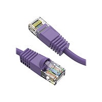 Axiom Cat6 550 MHz Snagless Patch Cable - patch cable - 7 ft - purple