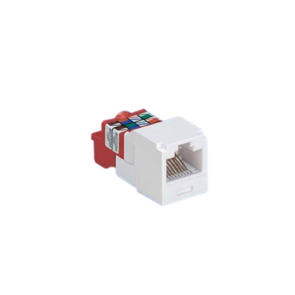 Panduit MINI-COM TX-5e - modular insert