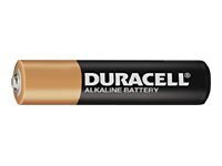 Duracell CopperTop MN 2400 battery - 24 x AAA type - alkaline