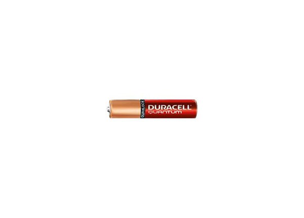 Duracell Quantum QU2400 - battery - 24 x AAA type - alkaline