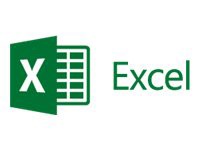 MS SLC+ EXCEL 2016 SNGL