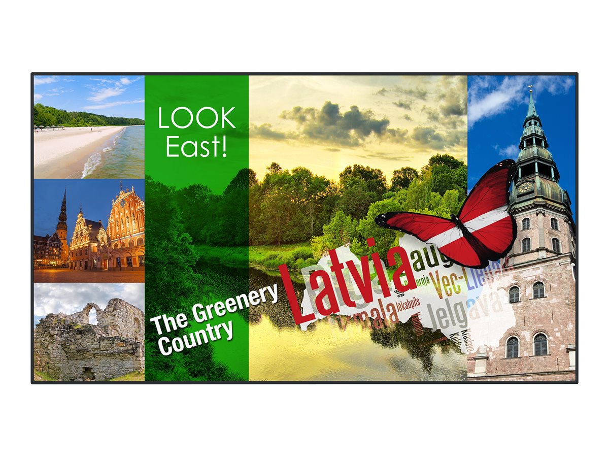 Panasonic TH-49LF80U LF80 - 49" LED-backlit LCD display - Full HD