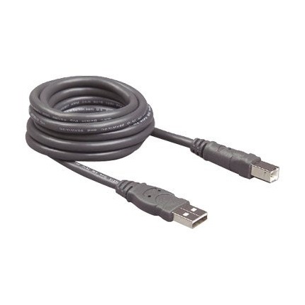 Dell USB cable - 10 ft