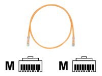 Panduit TX5e patch cable - 14 ft - orange
