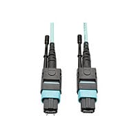 Eaton Tripp Lite Series 40G MTP/MPO Multimode OM3 Plenum-Rated Fiber Optic Cable (M/F), 12 Fiber, 40GBASE-SR4, Aqua, 5 m