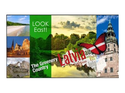 Panasonic TH-42LF80U LF80 - 42" LED-backlit LCD display - Full HD