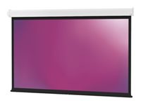 Da-Lite Model C with CSR - projection screen - 164" (164.2 in)