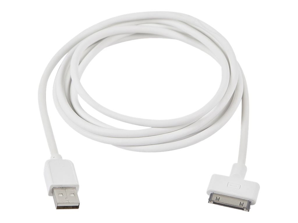 Compulocks 6 feet long 30 pins iPad charging cable - charging / data cable