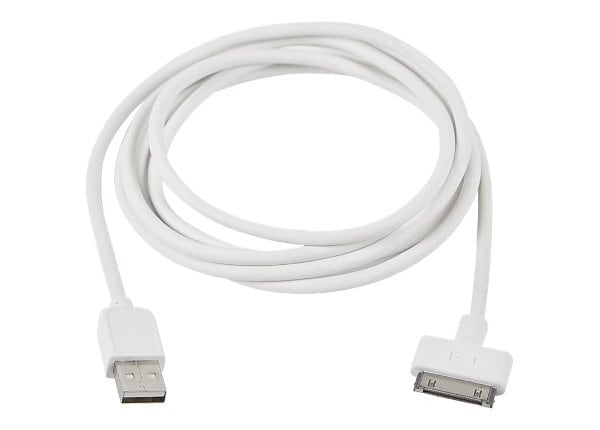 Compulocks 6 feet long 30 pins iPad charging cable - charging / data cable